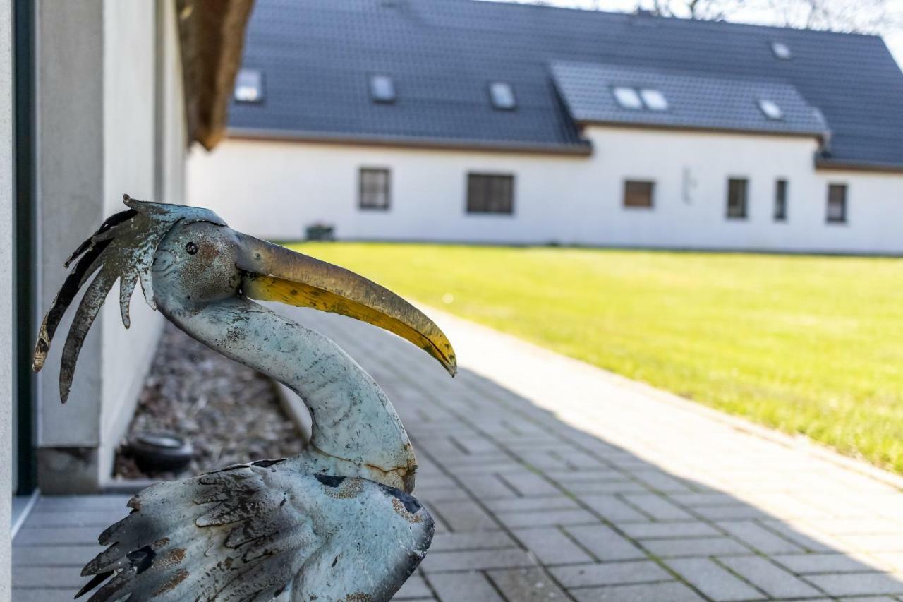 Alte Schnitterkate Lassan